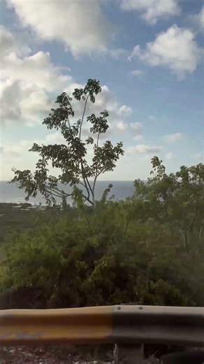 Driving in Puerto Rico is crazy! Amazing views. #shorts