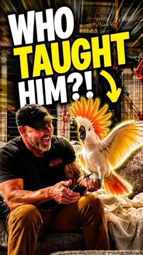 Kendrick Came On... Preston LOST IT 😂🦜