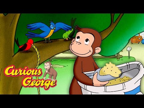 Let's Feed The Birds! 🐵 Curious George 🐵 Kids Cartoon 🐵 Kids Movies