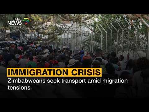 Immigration Crisis | Zimbabweans seek transport amid migration tensions