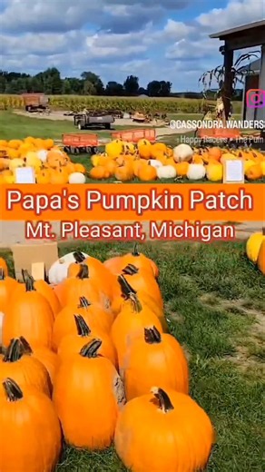 Papa's Pumpkin Patch and Farm Market is family friendly farm experience in Mt Pleasant, Michigan.