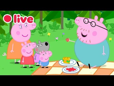 Daddy Pig Marathon Training LIVE 🏃 🔴 GO DADDY PIG! 🏁 Kids Cartoons 🔴
