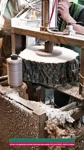 Rotary Log Debarking Machine Strips Bark from 500mm Class Logs Using a Vertical Spindle