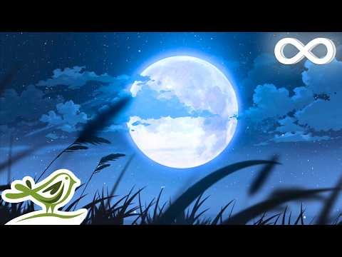 Enchanted Forest: Relaxing Fantasy Music for Sleep, Reading or Relaxation