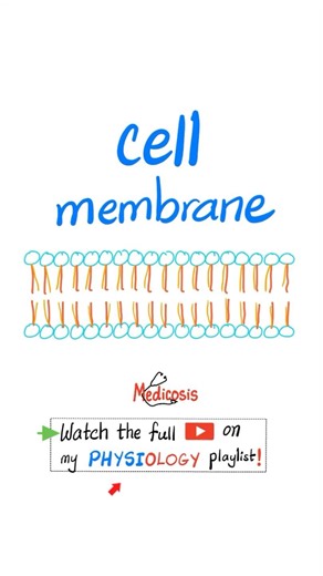 Cell Membrane - lipid-bilayer - Biology and Physiology...#nclex #usmle #ap #science #chemistry