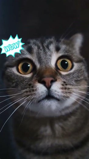 This Music Boxing Training Machine Makes Every Workout Fun & Effective 🥊🎵 | Voltrazo