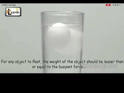How egg floats? | Voice over online experiment