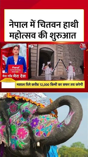 Nepal में चितवन हाथी महोत्सव की शुरुआत #shortsvideo #aajtak #nepalnews #latestnews