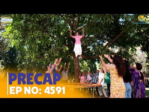 Ep 4591- PRECAP! | Taarak Mehta Ka Ooltah Chashmah | तारक मेहता का उल्टा चश्मा