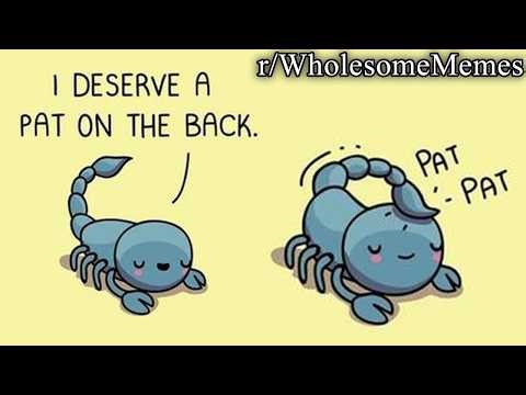 an hour of wholesome reddit