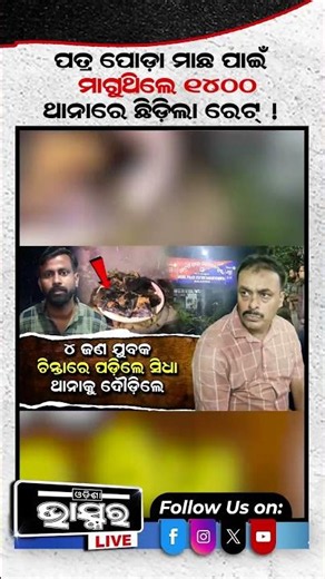 ମାଛ ମିଲ ଖାଇଲା ପରେ ହୋଟେଲ ମାଲିକ ମାଗୁଥିଲେ ୧୪୦୦ ଟଙ୍କା #ytshorts #shortsvideo #Balasore #HotelScam