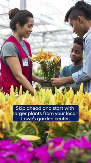 Planting Tips for Spring Annuals