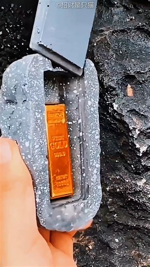 Cat Find Real Treasure 😍❤️ #trending #cat #shortvideo