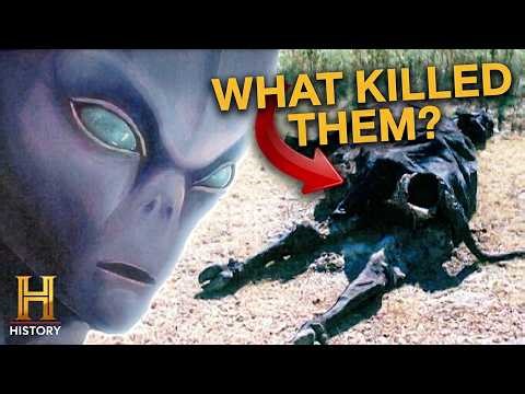 Rural UFO Encounters That Defy Logic | UFO Files
