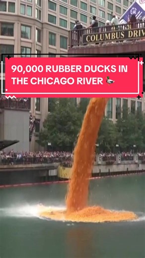 Over 90,000 rubber ducks were dropped into the Chicago River for an annual Special Olympics fundraiser, raising over US$700,000 from thousands of participants who sponsored their own ducks in a race down the river. 👏