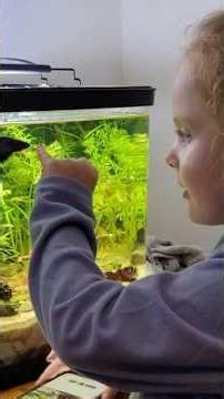 The Wonderful World of the Natural Aquarium