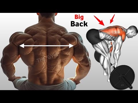 7 Best Back Workout at Gym for Massive Back Gains