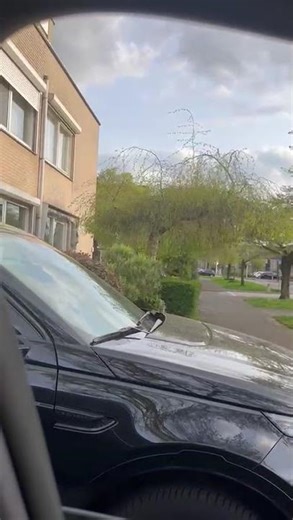 Tesla Certified Model X window problem.