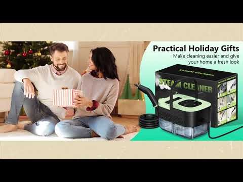 Portable Steam Cleaner Review | 16 Accessories, 15s Heat-Up & 6-Level Control
