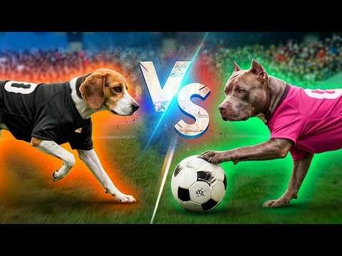 Dogs vs Dogs in Epic Charity Soccer Battle!