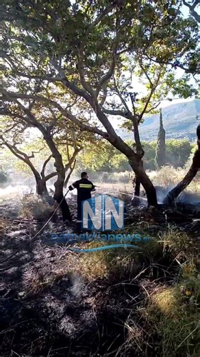 Πυρκαγιά μικρής έκτασης στη Σεργούλα Δωρίδας το απόγευμα της Τετάρτης