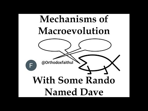 Mechanisms of Macroevolution with Some Rando Named Dave