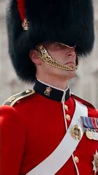 Changing of the Guard at Buckingham Palace: 360 years of precision #ChangingOfTheGuard #UKHistory