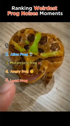 These Frogs Sound Absolutely INSANE! 🐸😂 | Top 5 Weirdest Frog Noises