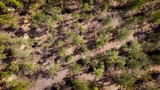 Small victory in giant battle over proposed Stockton solar farm