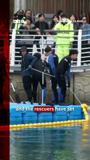 Rescue attempt of shark stranded in South Korea canal. #Shark #BBCNews