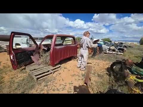 Killer Bee Hunting X 5! [Livestream Replay]