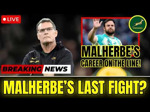 Springboks NewsFrans Malherbe’s Comeback Hope as Rassie Erasmus Steps In!#springboks #rassieerasmus