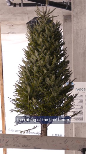 Why is there a tree at the top of a new building? 🌲 Multifamily Vice President Luis Sirotzky explains the centuries-old topping out tradition—celebrating the highest point of construction and honoring the teams that built it. Learn more about core and shell builds: www.hitt.com/base-building