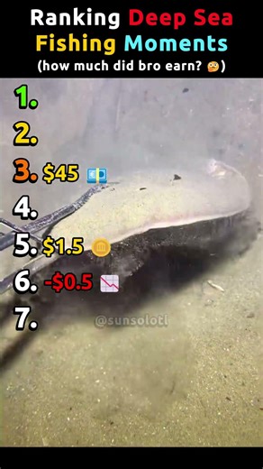 Best Catches Ranked by Value! Ranking Deep Sea Fishing Moments Pt.8 #deepseafishing