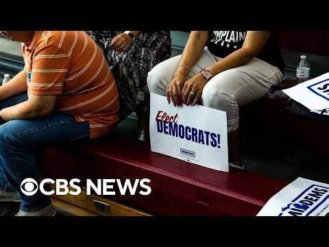 Former Obama campaign adviser on rise of democratic socialists, Democrats' midterm strategy