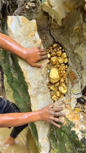 The process of finding gold | finding gold in bedrock fragments | finding gold nuggets worth $99999 amazing ‼️😱😱 #goldhunter #golddiscovery #lookingforgold #vancouver #newyorkcity #goldhunter #mindfulness #collegelife #canada | Aleng Gold Hunting
