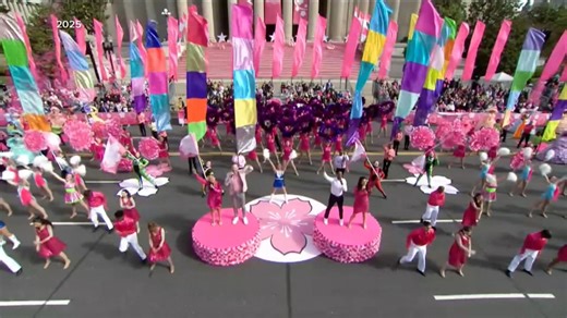 Celebrating DC's cherry blossom parade