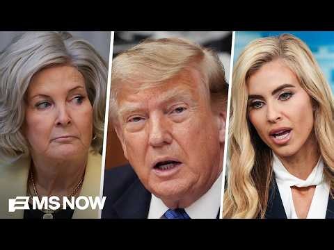 Susie Wiles 'blindsided' about Trump's new WH press secretary pick, wasn't consulted: Lemire
