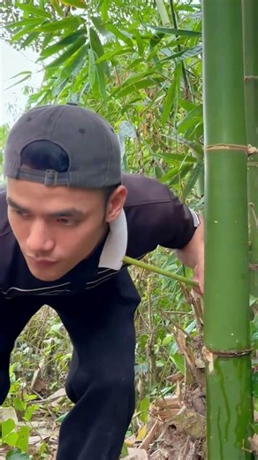 Survival Skills: How to Get Water from a BAMBOO Tree 💧💧#ohd #survival #camping #bushcraft #skills