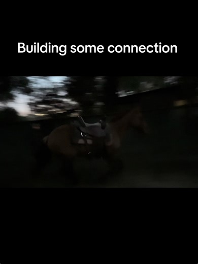 Training a Colt from Shining Spark: Groundwork Insights