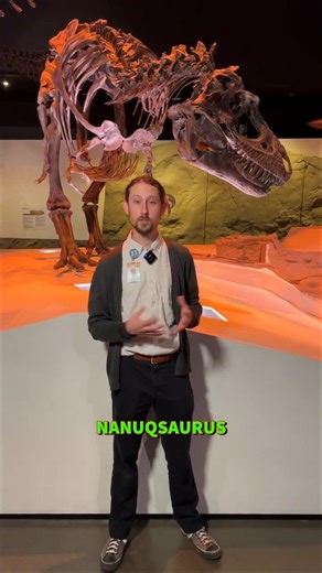 Let's talk about Nanuqsaurus, Tyrannosaurus Rex's arctic relative