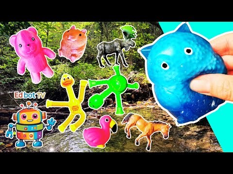 Kids Learn | Animal Names: Owl Lizard Lorikeet Duck Horse Hamster