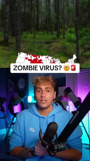 WHAT NEXT? | deer zombie disease