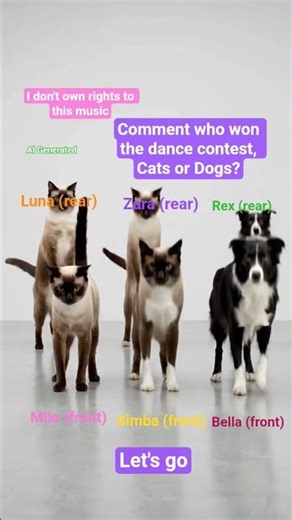 AI GENERATED: Cats and dogs dancing on beat who wins the vibe war? Vote now below 👇