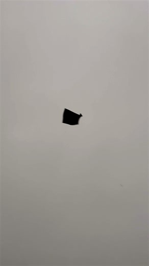 Big kites looting Basant #kiteflying #viralvideo #viralshorts #viralvideo