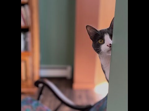 Episode 3060 CWSA 01/02/26