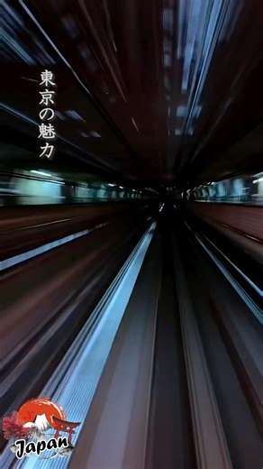 [東京の魅力] ゆりかもめの車窓から見る夜景がロマンチックすぎる。