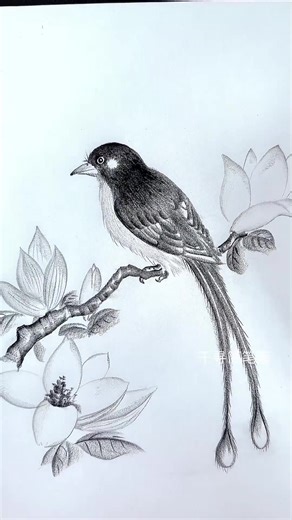 How to Draw with a Pencil: A Step-by-Step Tutorial