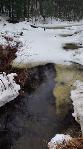 Upstream Downstream 3.16.2026 3:30 pm ¾" update