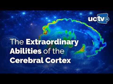 CARTA: Development and Evolutionary Specializations of Human Cognitive Networks with Nenad Sestan